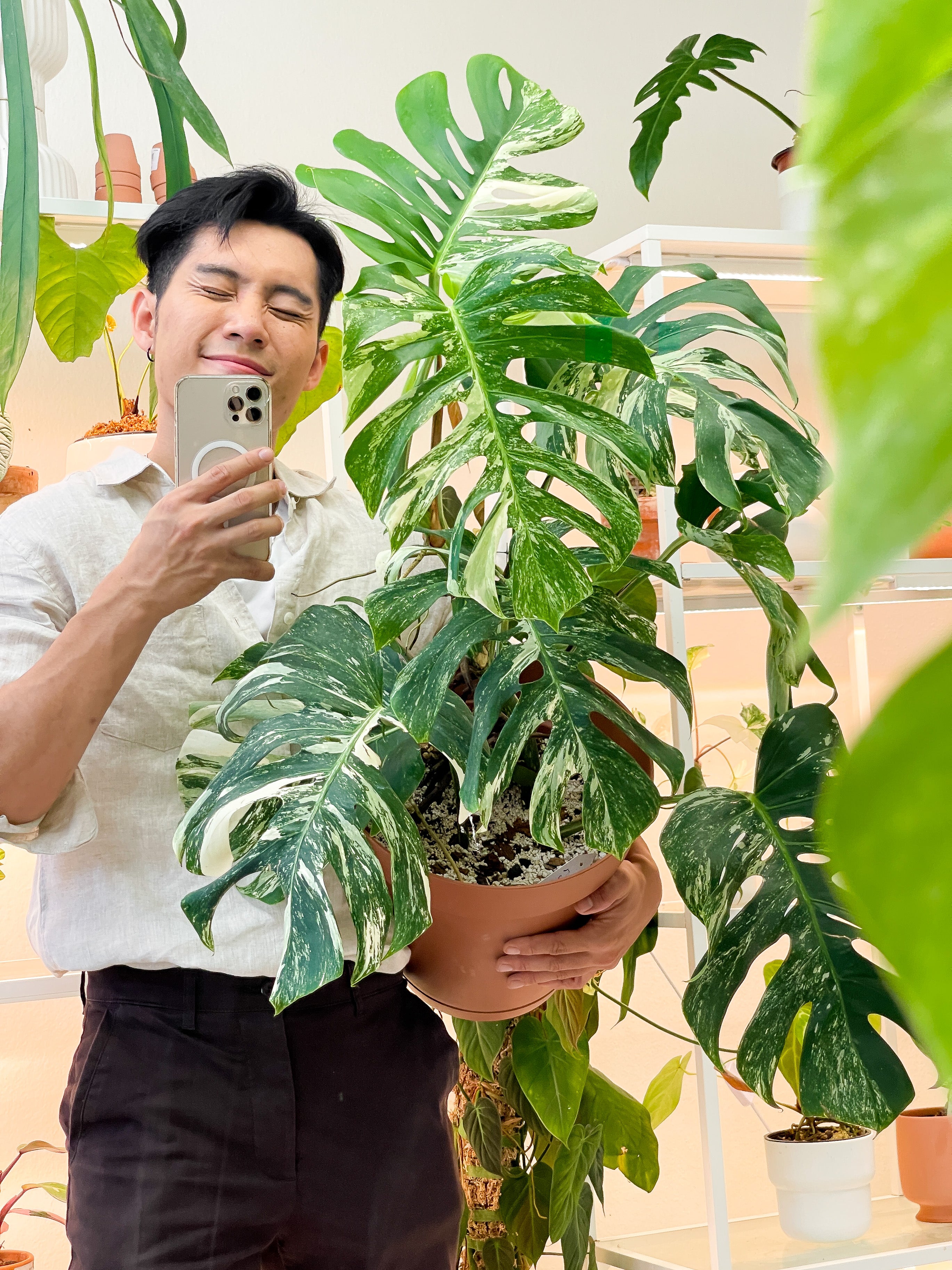 Part 3: Pros and Cons of Growing Tropical Plants in Low Humidity