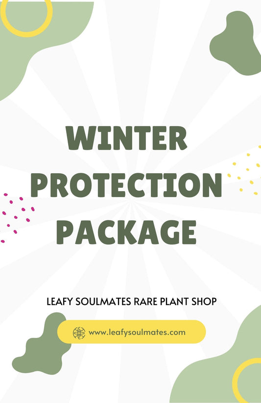 Winter Protection Package Upgrade