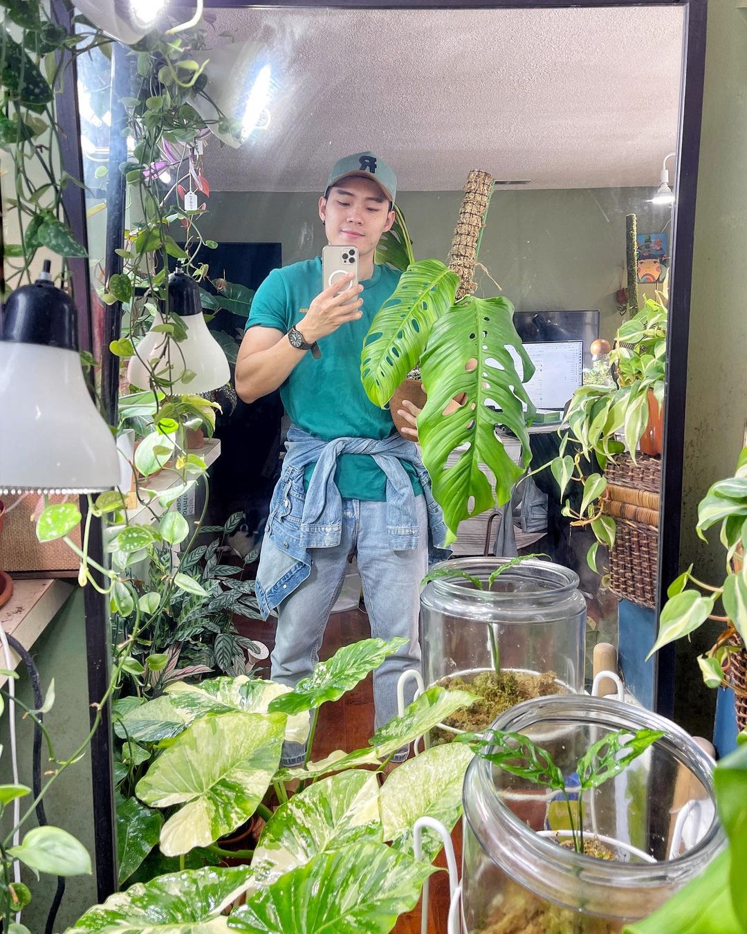 Reserved: Monstera Obliqua Los Tayos rooting